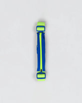 Electric Indigo-Lime Glow