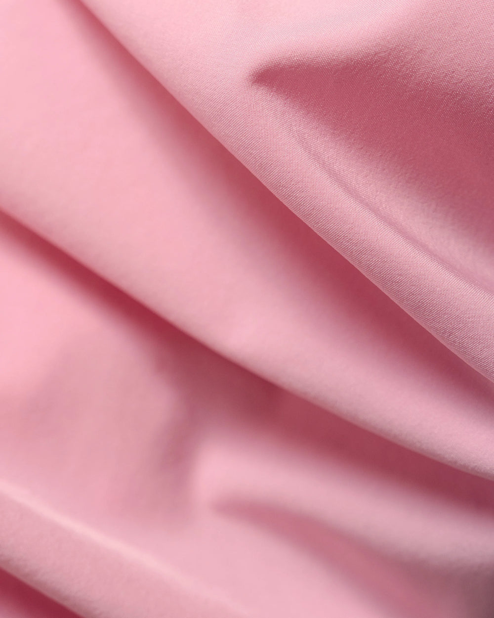 Pink Rose