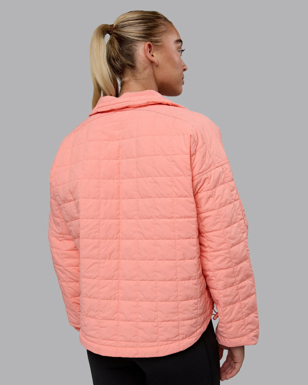 Murex Shell